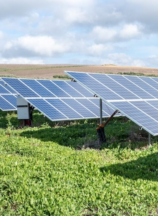 blue solar panels on green grass field under white clouds and blue sky during daytime